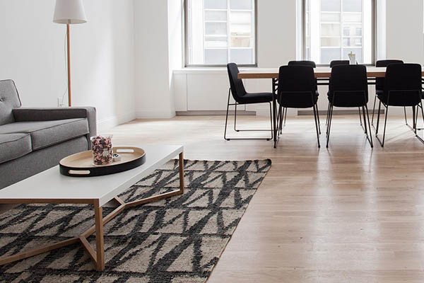throw rug living area
